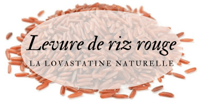 La levure de riz rouge anticholest&eacute;rol 